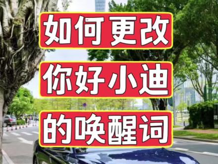 比亚迪海豚成网红神药？官方回应空调“喷粉”事件