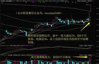 002129中环股份，成本价10.44后市走势如何?压力及支撑位在哪里?