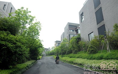 别墅卖出公寓价 杭州楼市引今年第二波降价6564968 