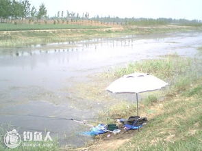 浅析野外水域钓深钓浅的优点分析