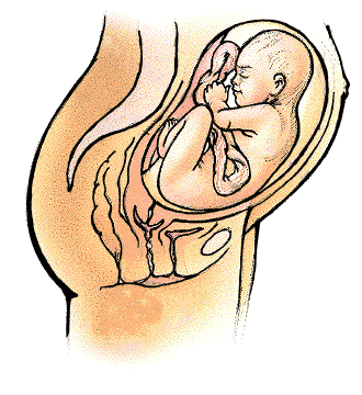 怀孕三个月的症状 怀孕三个月症状有哪些