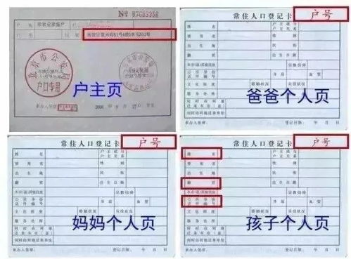 2021年吴中区迎春中学初一年级入学公告