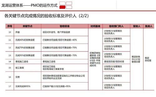 高效 龙湖 PMO 项目管理部 体系研究