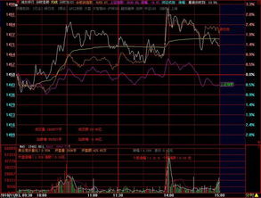 大智慧分时图右侧下方显示时间；价格：交易量，交易量单位是什么?