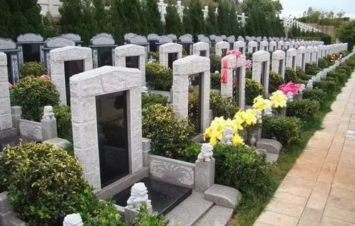 祖坟墓地中常见的六种现象,以及对后代运势的影响