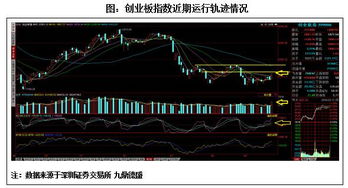 股票交易所是金融机构吗