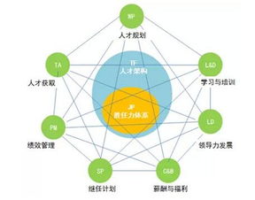 财务主管胜任力模型专业知识