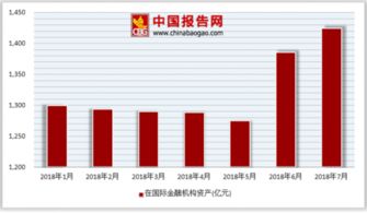 中国的金融机构可以发行债券吗