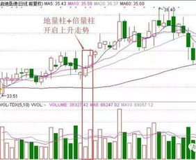 低量柱擒拿涨停板 只要形成低量柱,该股票后期走势一定是上涨的