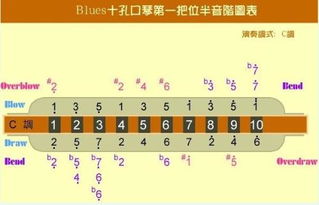 257半音阶口琴音阶图