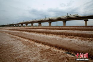 连续降雨致甘肃最大内陆河水位上涨 清澈河水变 黄河