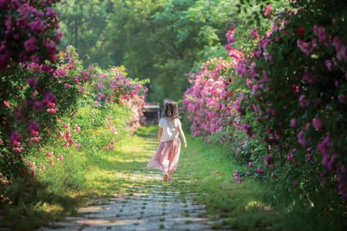 春节这样拍花卉人像,美遍几条街