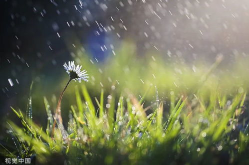 中国的每一场雨,都有一个好听的名字