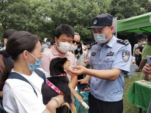 上海也开始施行 遛狗不牵绳,可以当场罚款了 