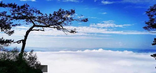 这个夏日,来 太平顶 赴山野之趣