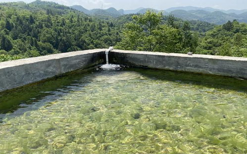 钻水井 建水池,他们不远千里伸援手