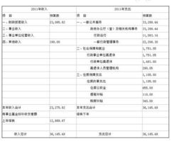 收支预算表怎么填(收支预算表的编制流程)