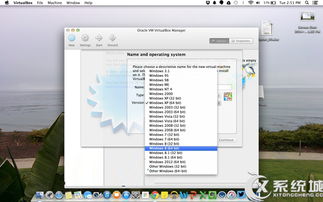 mac只安装win10系统盘