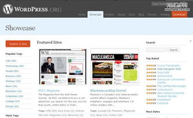 设计参考 WordPress建站成功案例 