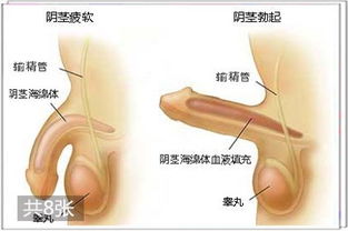 解读 关于女人性高潮的奥秘