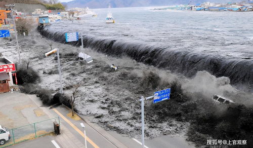 如果50米高的海啸来袭,是跑向内陆好,还是迎面扎进水里好