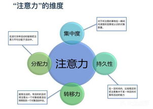 爱特美术 关于儿童专注力培养