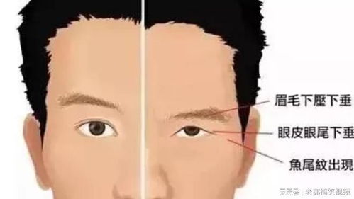 中老年男性的眉毛变长,是长寿的意思吗 眉毛变长意味着什么