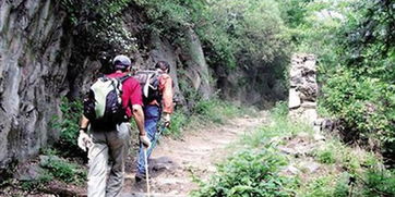 女子夜间登山摔断脚起诉景区 道路缺照明景区担半责