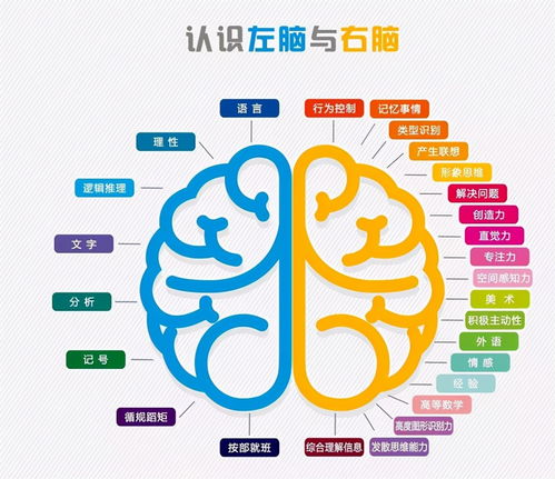 孩子平时有这3种表现,说明右脑发达,好好栽培可能成为 学霸