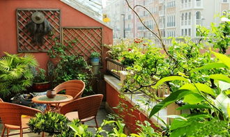 露天小阳台花园怎么弄好看？想把一个露天阳台打造成小花园(露天阳台小花园效果图)