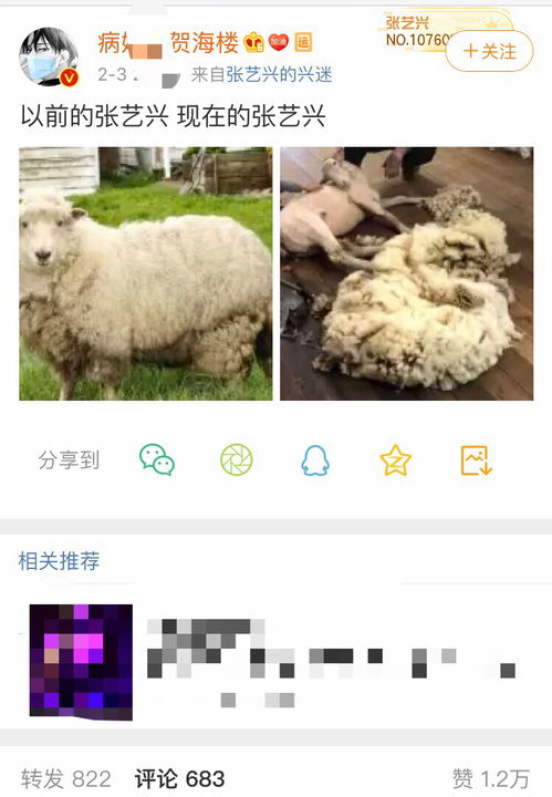 薅羊毛是什么意思