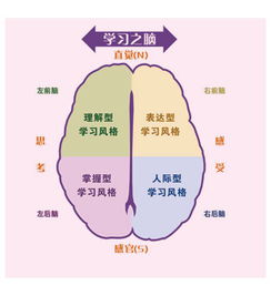 学马教育 用技术发现天赋,用科学规划未来