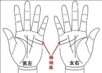 手相算命用五个手指预测命运的方法