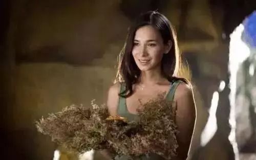 女人,好好经营你的生活,百忙之中也要看看 