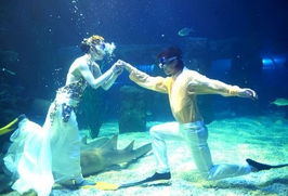 个性婚礼策划 浪漫海底潜水婚礼 