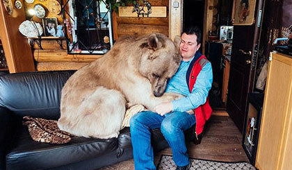 俄夫妇养270斤熊23年,每日同吃同住,网友大开眼界