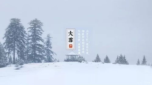 节气 大雪 古诗词里的大雪 大雪江南见未曾,今年方始是严凝