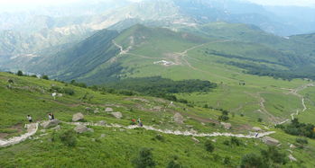 北京市顺义区可以野营的适合地方有哪些(灵山县自驾露营免费停车场)