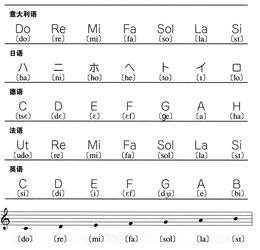 乐理知识重点