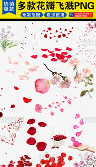 红色花瓣图片素材 红色花瓣图片素材下载 红色花瓣图片大全 我图网 