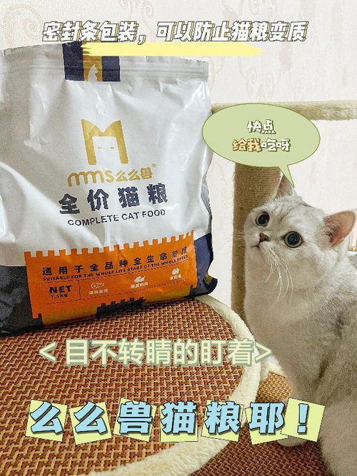 低价高品质猫粮 新手选粮不迷茫