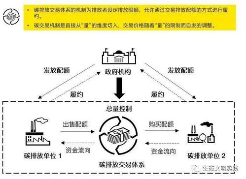 中国将建设碳排放交易体系，这对中国经济发展会造成哪些影响