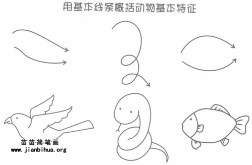 动物简笔画图片大全简单画法（动物简笔画图片大全 简单易学） 第1张