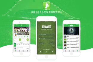 草根足球业余联赛开赛啦,草根足球 管理app