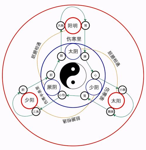 年岁不同续篇,阴阳之道中的学术精神和科学道理,为学日益,为道日损