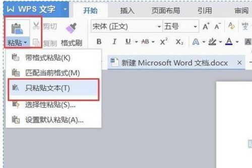 怎样去掉WORD文档中的背影 