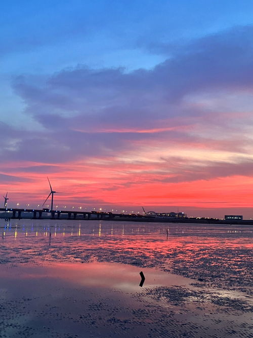 在上海看海和夕阳也能这么美啊 