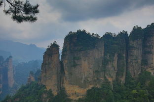 张家界旅游怎么样