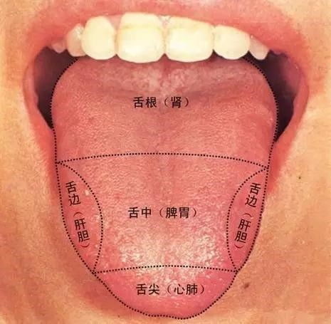 这些人不适合贴秋膘,里面有你吗