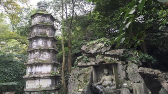 上海 杭州西湖游船 飞来峰 黄龙洞全景西湖悠闲巴士一日游 上海出发 怎么样, 杭州西湖游船 飞来峰 黄龙洞全景西湖悠闲巴士一日游 